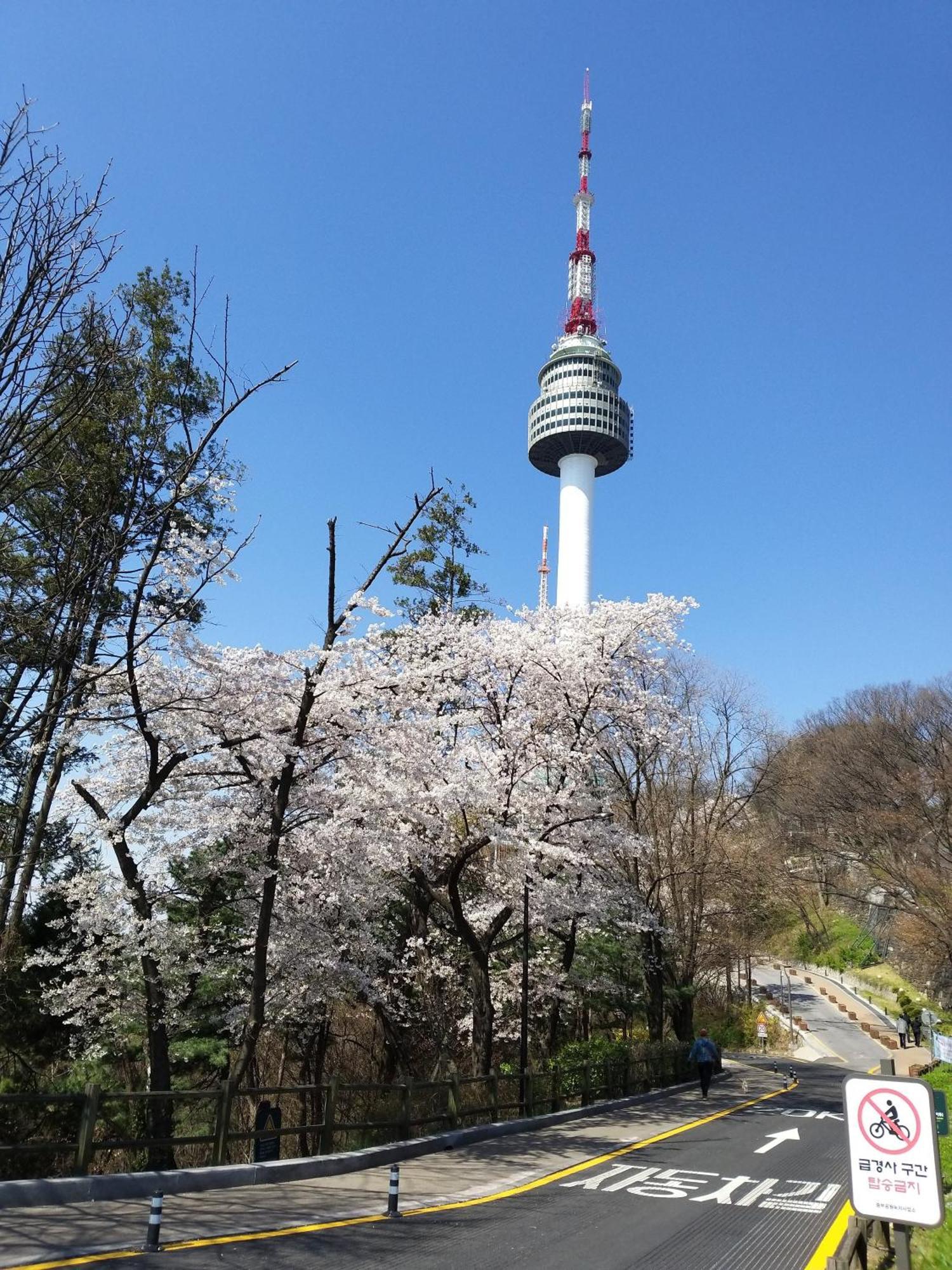 Newly Renovated 2 Bedroom Apartment #7 Seoul Exteriör bild