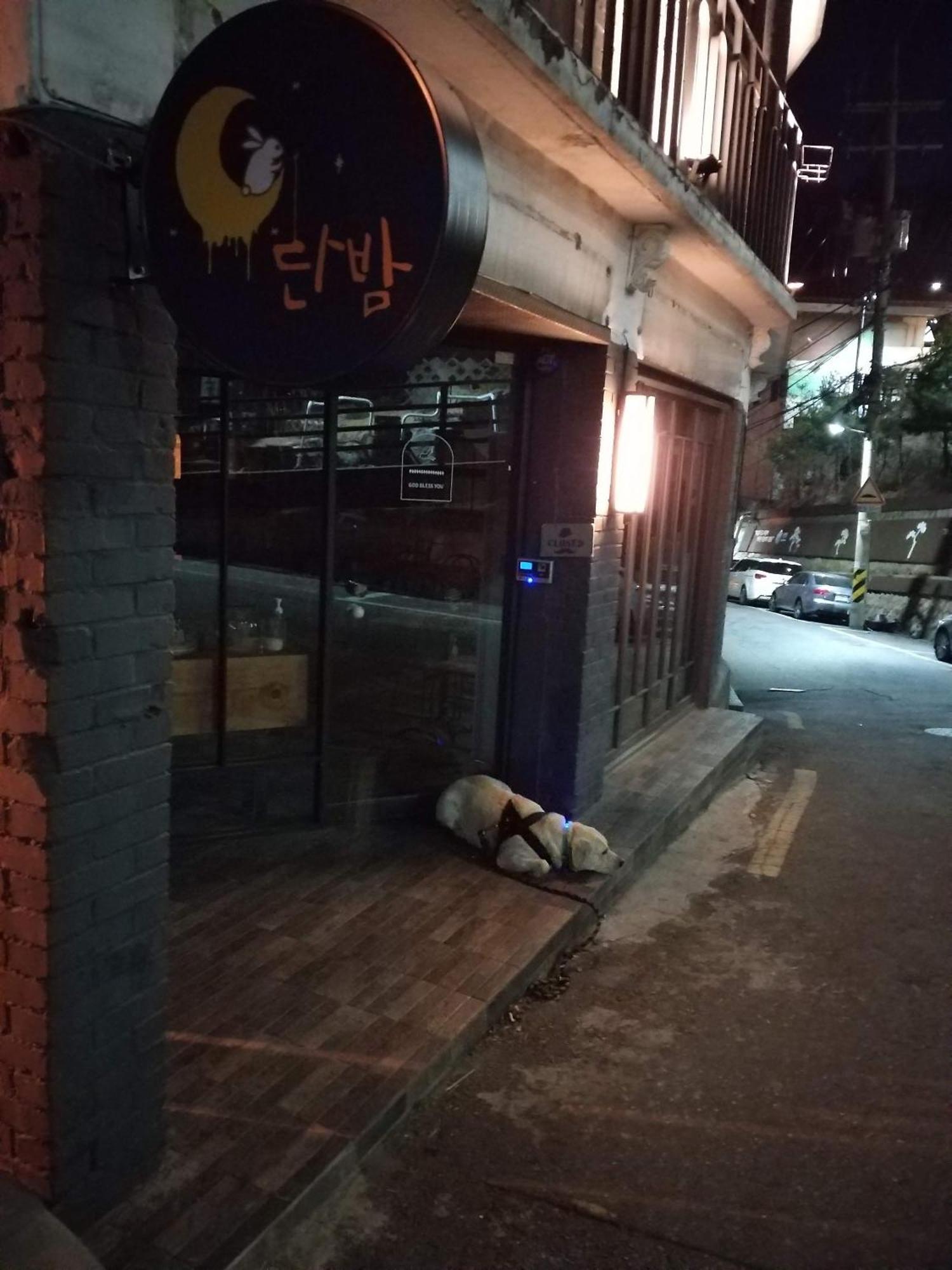 Newly Renovated 2 Bedroom Apartment #7 Seoul Exteriör bild