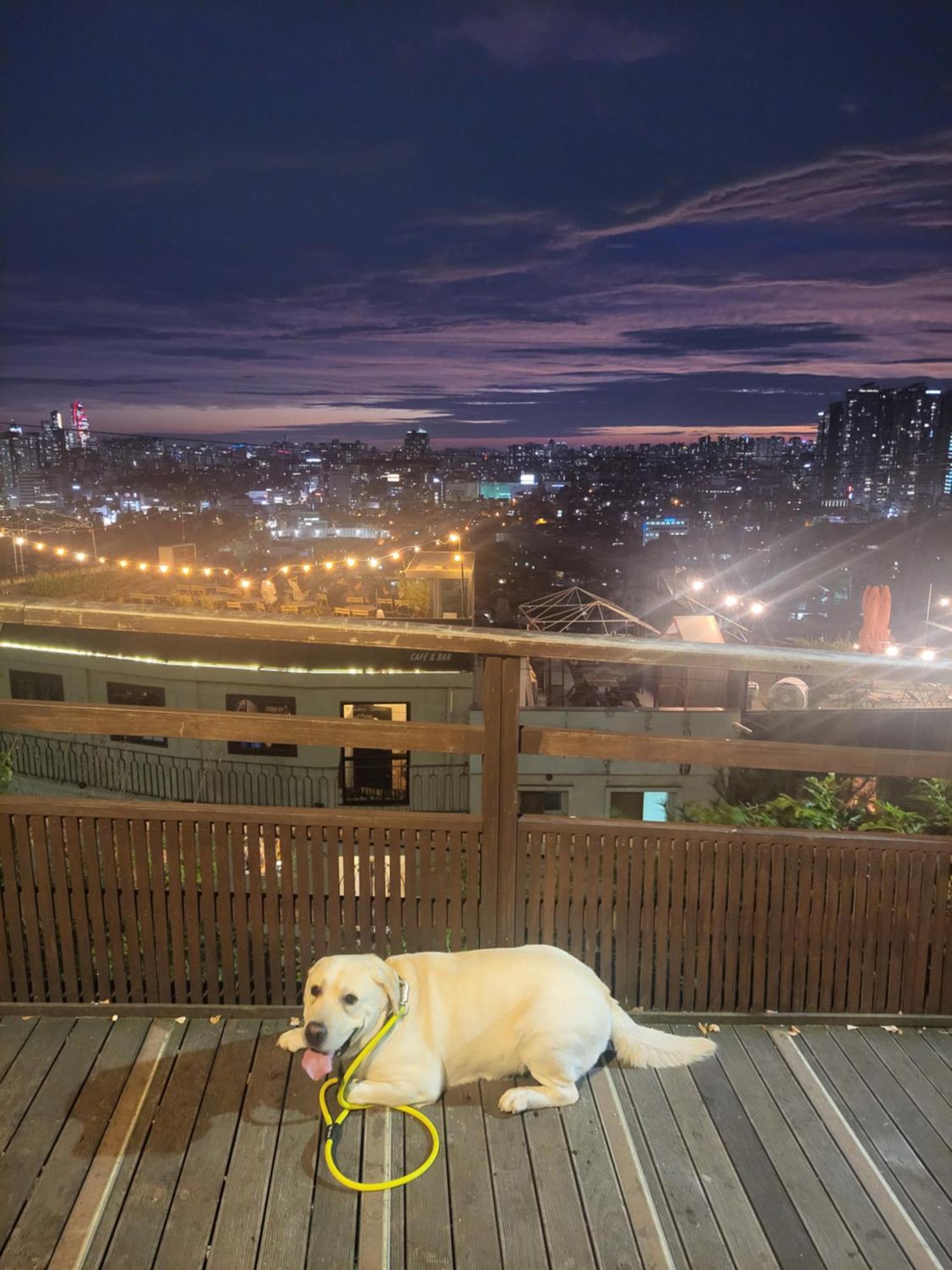 Newly Renovated 2 Bedroom Apartment #7 Seoul Exteriör bild